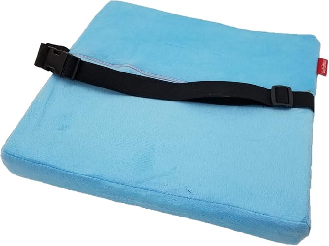 Bookishbunny Premium Memory Foam Lumbar Support Cushion Pillow (LightBlue)
