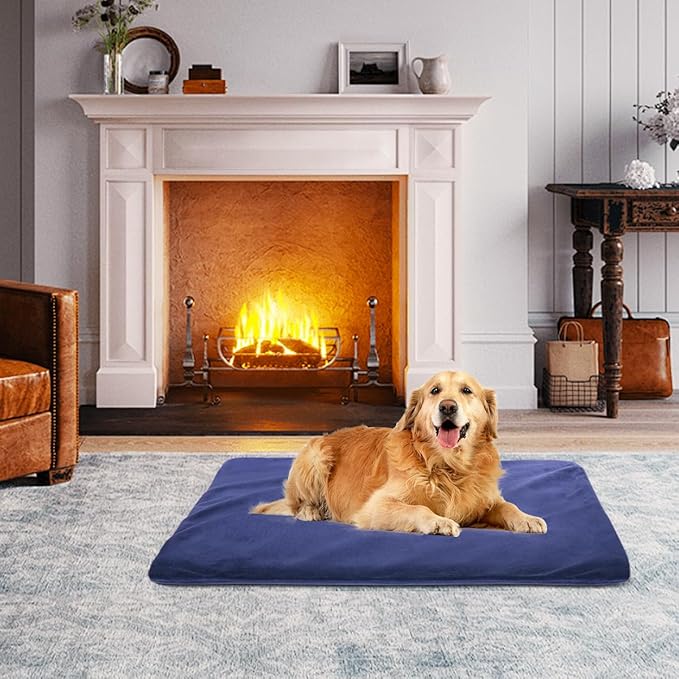 RIOGOO Pet Heating Pad, Electric Heating Pad for Dogs and Cats Indoor Warming Mat with Auto Power Off (Blue, XX-Large)
