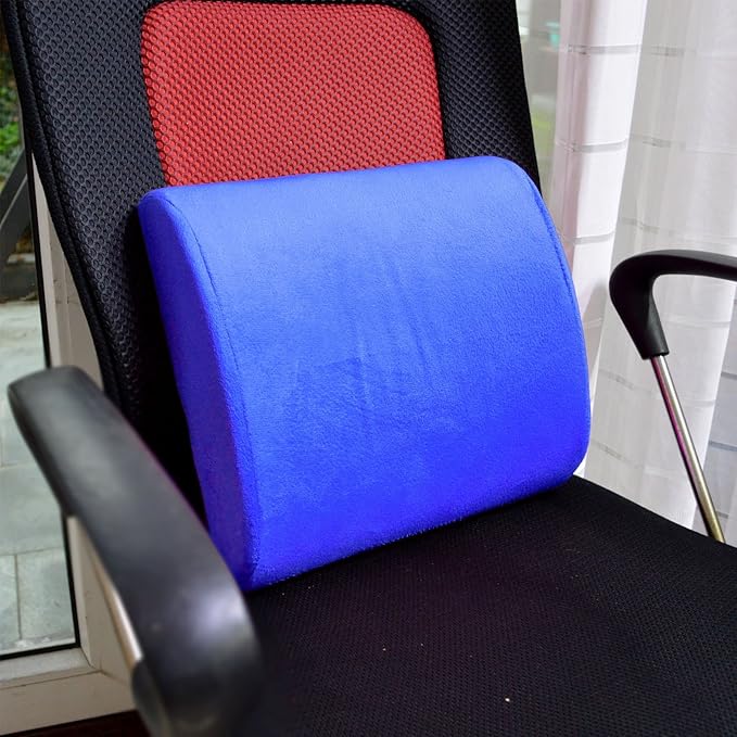 Bookishbunny Premium Memory Foam Lumbar Support Cushion Pillow (Blue)