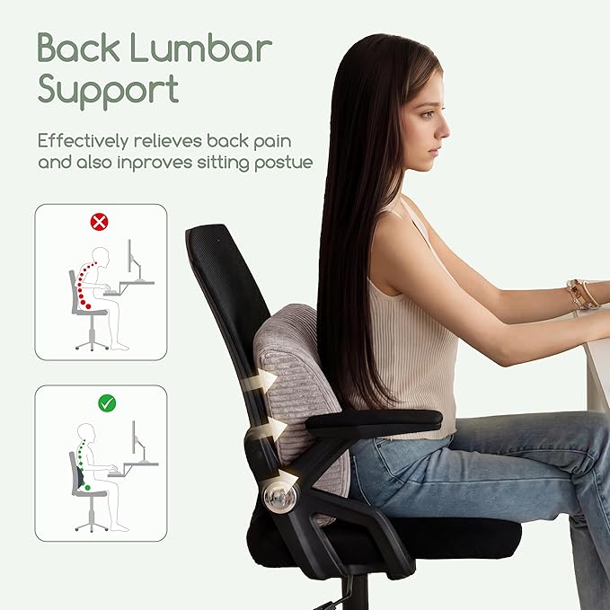 HIGOGOGO Lumbar Support Pillow for Recliner Chair/Accent Chair/Couch, Large Memory Foam Back Support Cushion for Elderly, Recliner Cushions for Back Rest, Pain Relief, Reading, Washable Cover, Grey
