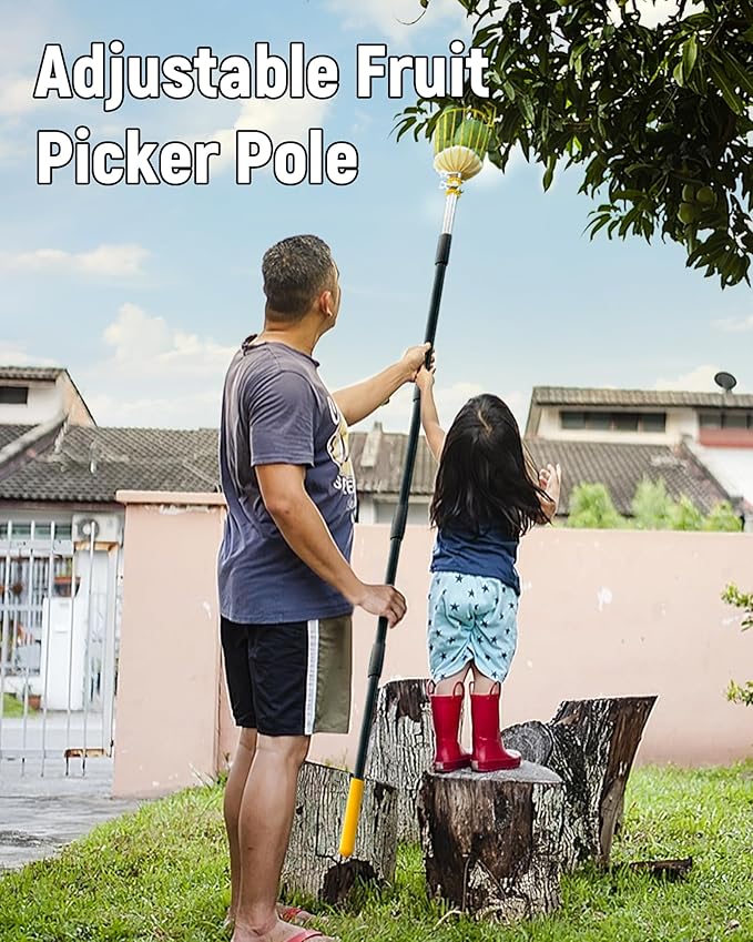 13.5FT Fruit Picker with Basket, Apple Picking Tool 35–161" Adjustable Pole, Long-Handle Mango Grabber, Tree Fruit Catcher for Harvesting Lemon Pear Orange Avocado Peach Citrus Grapefruit