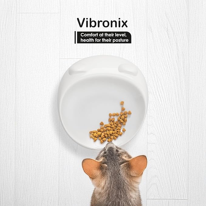 2 Pack Anti-Vomit Elevated Ceramic Cat Bowls with 2 Non-Slip Mats – Ceramic Whisker-Friendly Tilted Orthopedic Feeding Set, Ideal for Senior Cats & Small Dogs