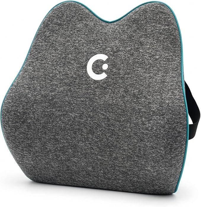 Cubii Cushii V2 Back Support Cushion for Lower Back Support, Lumbar Support Pillow with Contoured Design and Adjustable Strap for Office Chair, Desk Chair, Kitchen Chair and Couch