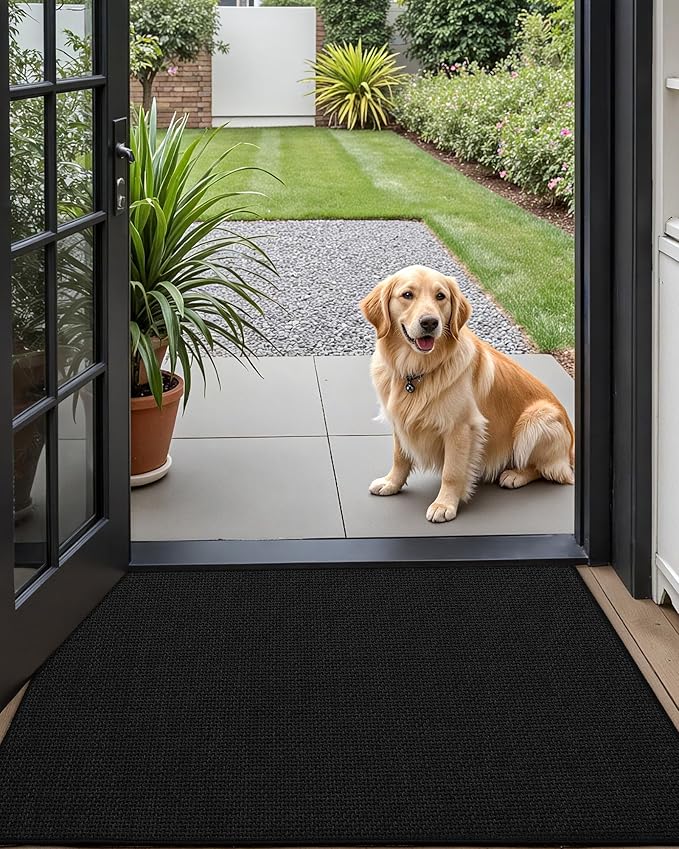 Color&Geometry Thin Door Mat Indoor Entrance Non Slip Rubber Backed, 24"x36" Indoor Door Mats for Entryway, Dirt Trapper Doormat, Washable Front Door Rugs, Ebony Black