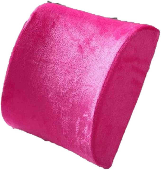 Bookishbunny Premium Memory Foam Lumbar Support Cushion Pillow (HotPink)