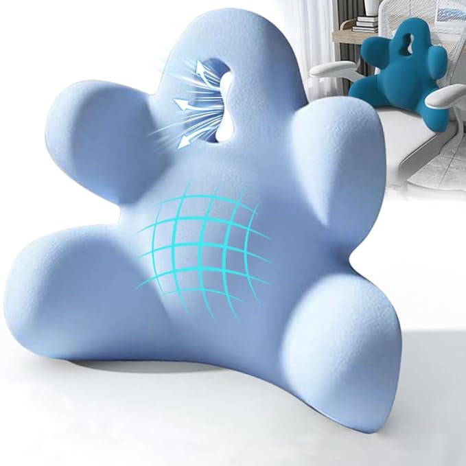 Lumbar Support Pillow for Office Chair, Back Pillow Lumbar Support for Car, Chair, Sofa - Improve Lower Back Pain Relief & Sitting Posture, Memory Foam Back Cushion for Long Sitting (B-Blue)