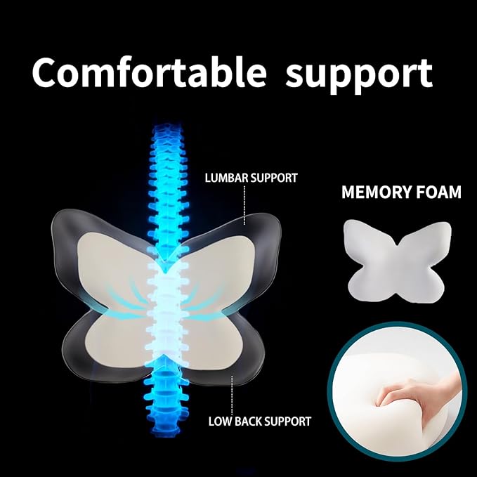 Ergonomic Back Cushion for Lower Pain Relief, Momery Foam Back Pillow, Lumbar Support for Office Chair Back Support for Computer Chairs, Gaming,Home - Working,Removable & Washable Cover (Gray)