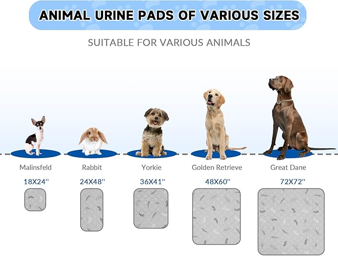 Sunheir 2 Pack Washable Guinea Pig Pee Pads, 24" x 48" Waterproof Reusable Guinea Pig Cage Liners, Absorbent Bedding Training Mat for Small Animal Guinea Pigs Rabbit Bunny Hamster - Sky Blue