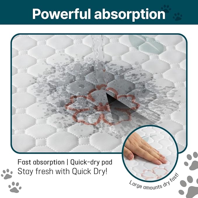 Extra Large Washable Dog Pee Pads (2 Pack), 31"x36" Reusable Waterproof Pad for Large Dogs, Super Absorbent, Non-Slip Indoor Puppy Training Mat