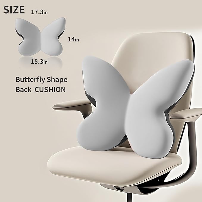 Ergonomic Back Cushion for Lower Pain Relief, Momery Foam Back Pillow, Lumbar Support for Office Chair Back Support for Computer Chairs, Gaming,Home - Working,Removable & Washable Cover (Gray)