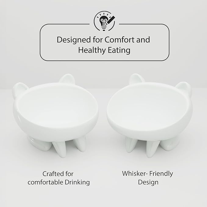2 Pack Anti-Vomit Elevated Ceramic Cat Bowls with 2 Non-Slip Mats – Ceramic Whisker-Friendly Tilted Orthopedic Feeding Set, Ideal for Senior Cats & Small Dogs