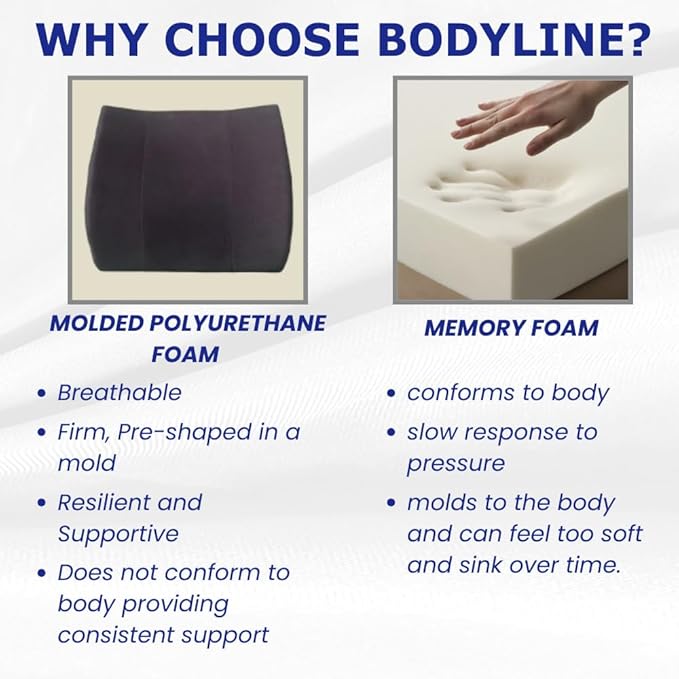 Bodyline Back-Huggar - Traditonal/Regular Style - The Original Lumbar Cushion - Black