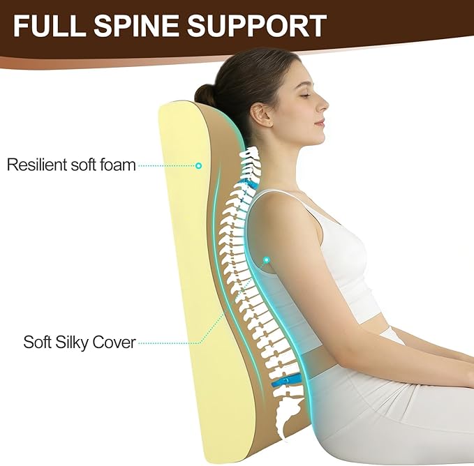 HAVARGO 2-in-1 Neck Pillow Lumbar Support Pillow for Recliner Couch & Nursery Glider Chairs- High-Resilient Foam Cushion Ergonomic Back Support for Comfort in Rocking, Feeding, Nursing Brown M