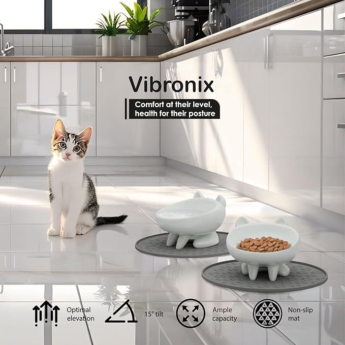 2 Pack Anti-Vomit Elevated Ceramic Cat Bowls with 2 Non-Slip Mats – Ceramic Whisker-Friendly Tilted Orthopedic Feeding Set, Ideal for Senior Cats & Small Dogs