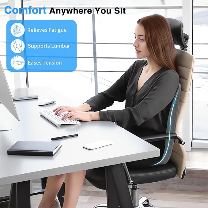 FRIENA Lumbar Support Pillow for Office Chair & Home– High-Density Memory Foam Back Cushion for Lower Back Pain Relief, Ergonomic Back Support Pillow with Breathable Washable Cover – Gray