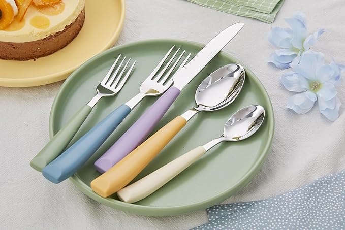 ANNOVA Silverware Set Stainless Steel Colorful Handle Tableware Kitchen Flatware Set Utensils, Includes Dinner Knives, Forks, Spoons, Salad Forks & Dessert Spoons (Morandi Mix, 20 Pieces)