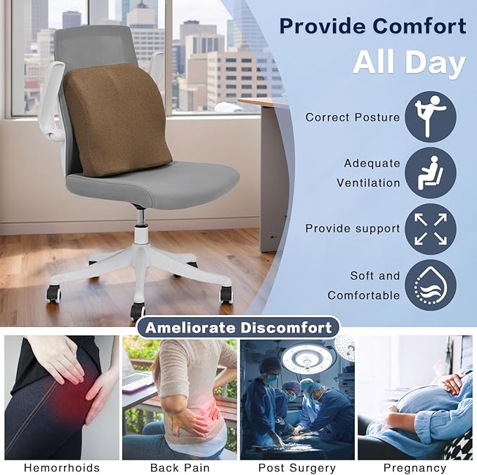 baibu Lumbar Support Pillow for Office Chair, Memory Foam Back Support Cushions Ergonomic Orthopedic Lumbar Pillow for Home, Office, Car, Brown