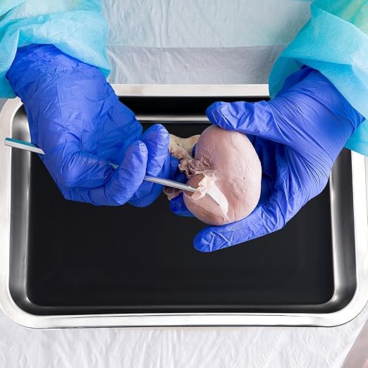Conelist Dissection Pan with Wax Thicken and 4 Rubber Nonslip Mat Reusable Stainless Steel Thicken Dissection Pan for Lab Experiment Junior Senior(12.2 x 8.27 Inch,Black,16 Set)