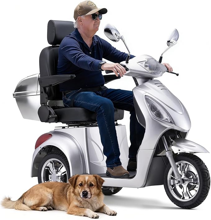 Super Large Electric 4 Wheel Mobility Scooters, Heavy Duty 800W Wheelchair Device, 25 Miles Long Range, All Terrain Mobility Scooter，Speed Adjust, Remote Key,Receive Ready to Ride (3 Wheel-Silver)
