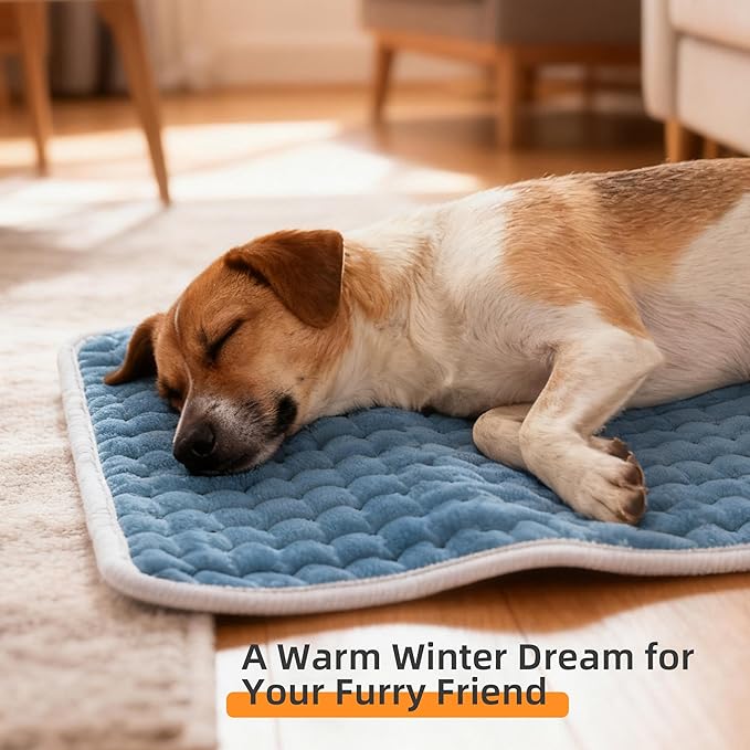 RAINOVA Heating Pad for Back/Shoulder/Feet/Pets, 12''x24'' Electric Pad with Auto Shut Off, Heated Pad for Cramps Relief, Heat Pad 6 Heat Settings, Christmas Gifts for Women, Men, Mom, Dad(Blue)