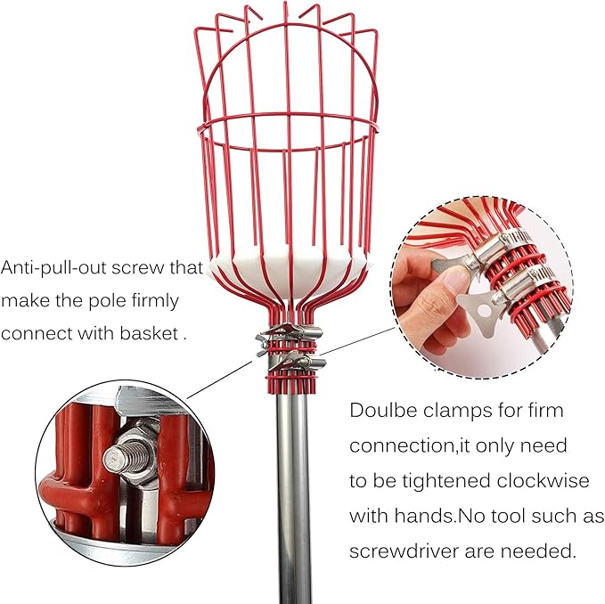 5FT Fruit Picker, Fruit Picker Tool with Basket & Adjustable Stainless Steel Pole, Lightweight Fruit Grabber for Apple Mango Avocado Orange Lemon, Easy Assembly & Long Reach for Tall Trees Harvesting
