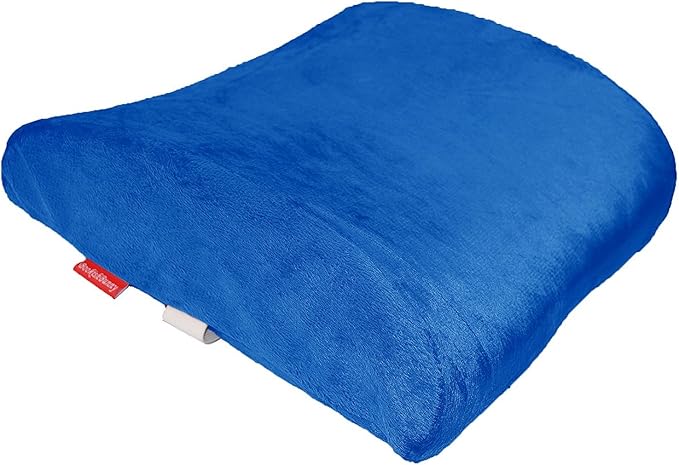Bookishbunny Premium Memory Foam Lumbar Support Cushion Pillow (Blue)