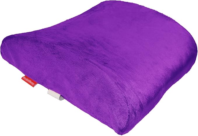Bookishbunny Premium Memory Foam Lumbar Support Cushion Pillow (Purple)