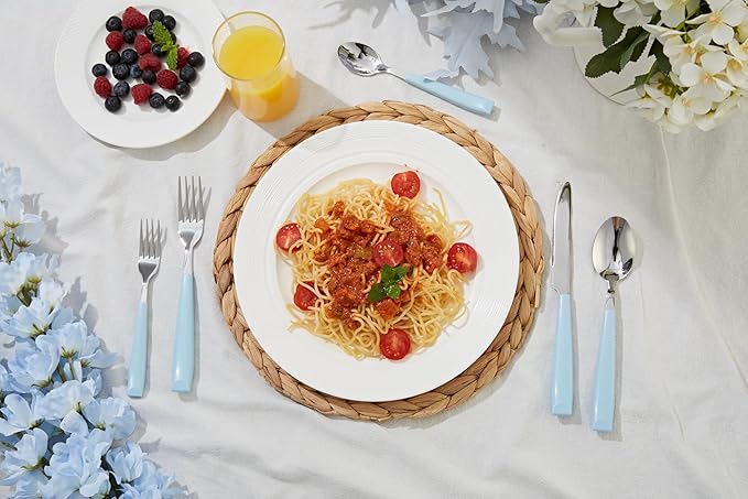 ANNOVA Silverware Set Stainless Steel Colorful Handle Tableware Kitchen Flatware Set Utensils, Includes Dinner Knives, Forks, Spoons, Salad Forks & Dessert Spoons (Light Blue, 20 Pieces)