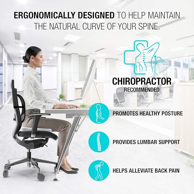 Seat Cushions for Office Chairs with Lumbar Support, Desk Chairs, and Car Seats - Adjustable Straps and Non-Slip Ergonomic Design for Tailbone and Lower Back Pain Relief for All Day Use