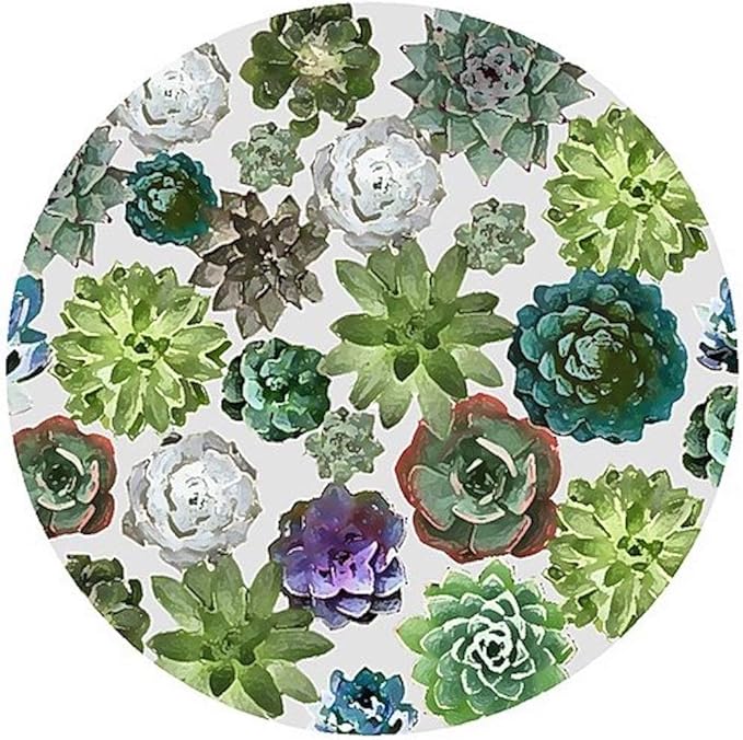 Andreas Silicone Jar Opener, Succulents – 6.25" Non-Slip Lid Gripper & Garlic Peeler, Dishwasher Safe, Multi-Use, Durable Silicone & Fabric, Made in the USA, JO-365