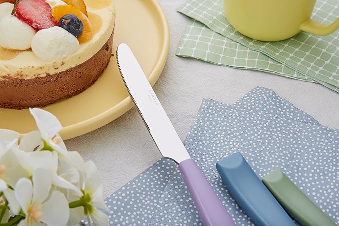 ANNOVA Silverware Set Stainless Steel Colorful Handle Tableware Kitchen Flatware Set Utensils, Includes Dinner Knives, Forks, Spoons, Salad Forks & Dessert Spoons (Morandi Mix, 20 Pieces)