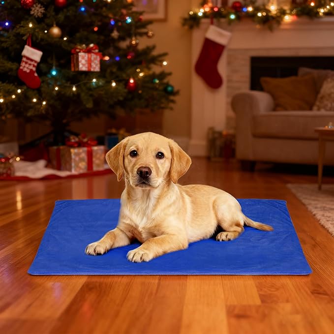 RIOGOO Pet Heating Pad, Electric Heating Pad for Dogs and Cats with Timer, 6 Level Adjustable Temperature Dog Heated Blanket (Blue, M:25''x12.5‘’)