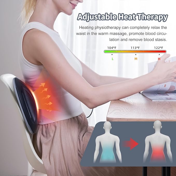 ALPHAY Multifunctional Lumbar Traction Device with Dynamic Lumbar Stretching & Knead Massage, Heat & Vibration Physical Therapy, Lower Back Massager Lumbar Traction at Home, Office, Waist Pain Relief