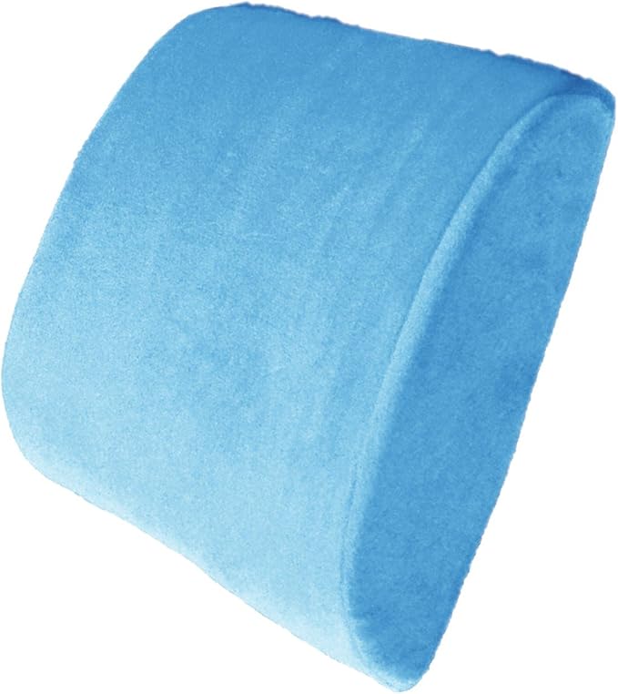 Bookishbunny Premium Memory Foam Lumbar Support Cushion Pillow (LightBlue)