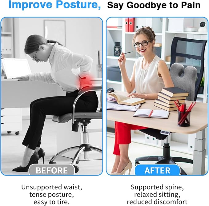 FRIENA Lumbar Support Pillow for Office Chair & Home– High-Density Memory Foam Back Cushion for Lower Back Pain Relief, Ergonomic Back Support Pillow with Breathable Washable Cover – Gray