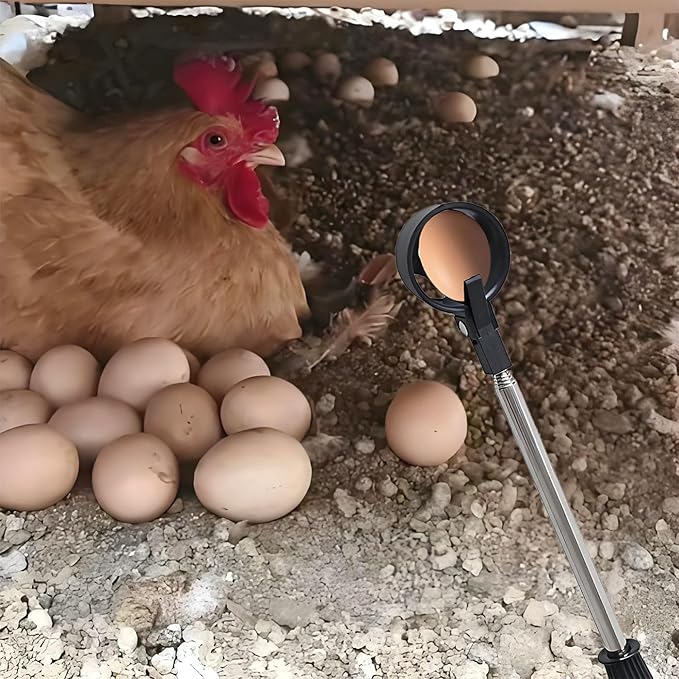 Egg Grabber Reacher Tool for Chicken Eggs Collector, Extender Reacher Grabber Pickup Tool for Chicken Coop, Farm, Poultry Nest, Chicken Coop Accessories Homesteading Essentials