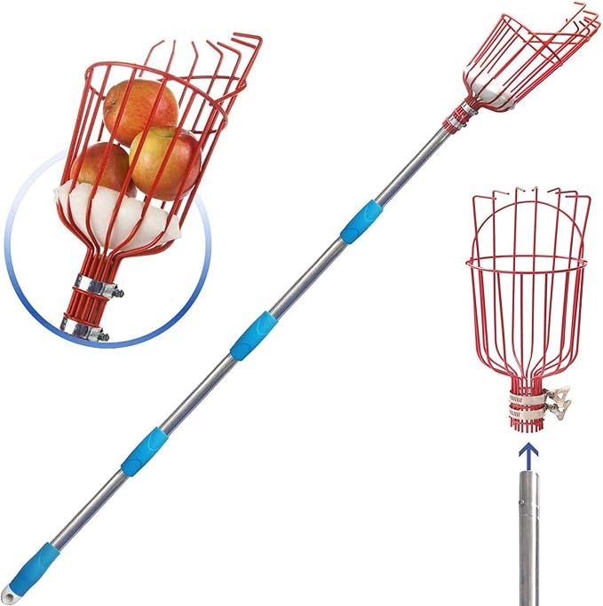 8FT Fruit Picker, Fruit Picker Tool with Basket & Adjustable Stainless Steel Handle, Lightweight Fruit Grabber for Apple Mango Avocado Orange Lemon, Easy Assembly & No Ladder Needed for Tall Tree