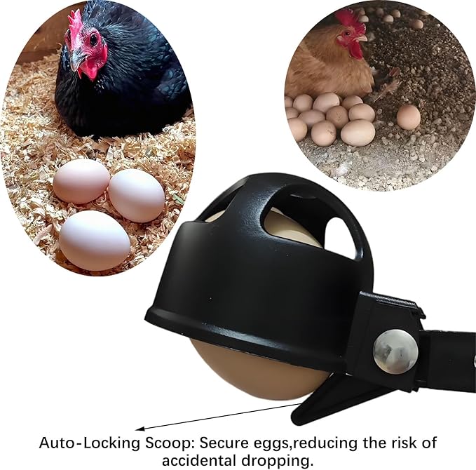 Egg Grabber Reacher Tool for Chicken Eggs Collector, Extender Reacher Grabber Pickup Tool for Chicken Coop, Farm, Poultry Nest, Chicken Coop Accessories Homesteading Essentials
