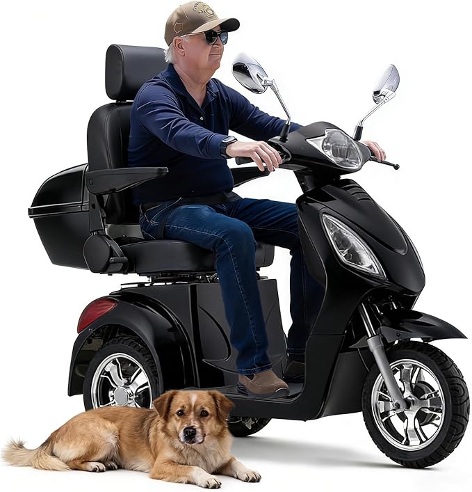 Super Large Electric 4 Wheel Mobility Scooters, Heavy Duty 800W Wheelchair Device, 25 Miles Long Range, All Terrain Mobility Scooter，Speed Adjust, Remote Key,Receive Ready to Ride (3 Wheel -Black)