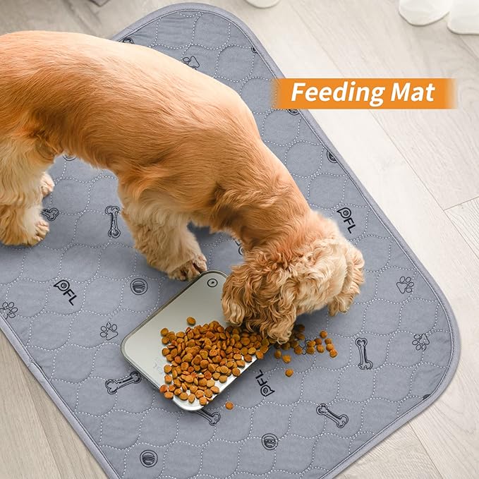 Washable Pee Pads for Small Pet, 2 Pack Reusable Pet Training Pads Washable,36x72 Absorbent Reusable Whelping Pads, Non-Slip Dog Mats with Bone Print for Rabbit Guinea Pig Hamster Puppy