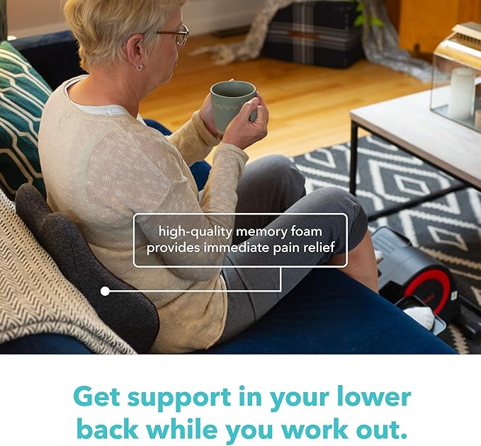 Cubii Cushii V2 Back Support Cushion for Lower Back Support, Lumbar Support Pillow with Contoured Design and Adjustable Strap for Office Chair, Desk Chair, Kitchen Chair and Couch