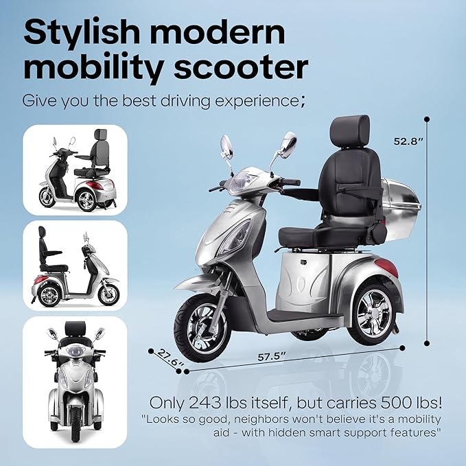 Super Large Electric 4 Wheel Mobility Scooters, Heavy Duty 800W Wheelchair Device, 25 Miles Long Range, All Terrain Mobility Scooter，Speed Adjust, Remote Key,Receive Ready to Ride (3 Wheel-Silver)