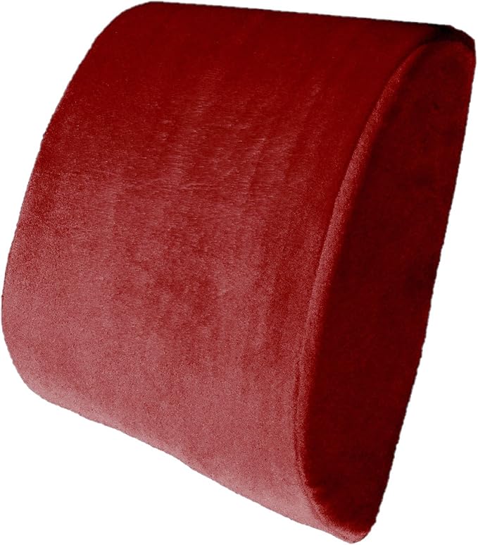 Bookishbunny Premium Memory Foam Lumbar Support Cushion Pillow (Burgundy)