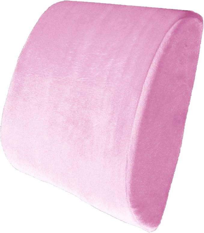 Bookishbunny Premium Memory Foam Lumbar Support Cushion Pillow (Pink)