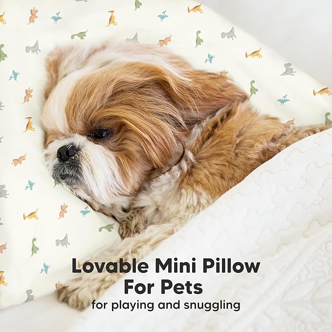 Mini Toddler Pillow with Pillowcase - 9x13 My Little Dreamy Travel Kids Pillow for Sleeping, Toddler Bed, Small, Tiny, Organic Cotton Pillowcase, Soft & Breathable, Kids 2-4 Years Old (Jolly Rainbow)