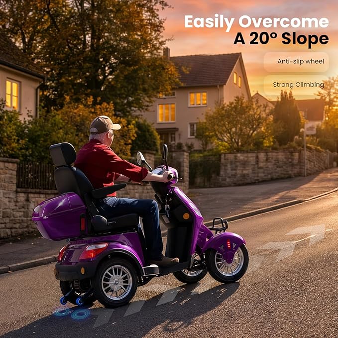 Super Large Electric 4 Wheel Mobility Scooters, Heavy Duty 800W Wheelchair Device, 25 Miles Long Range, All Terrain Mobility Scooter，Speed Adjust, Remote Key,Receive Ready to Ride (Purple)