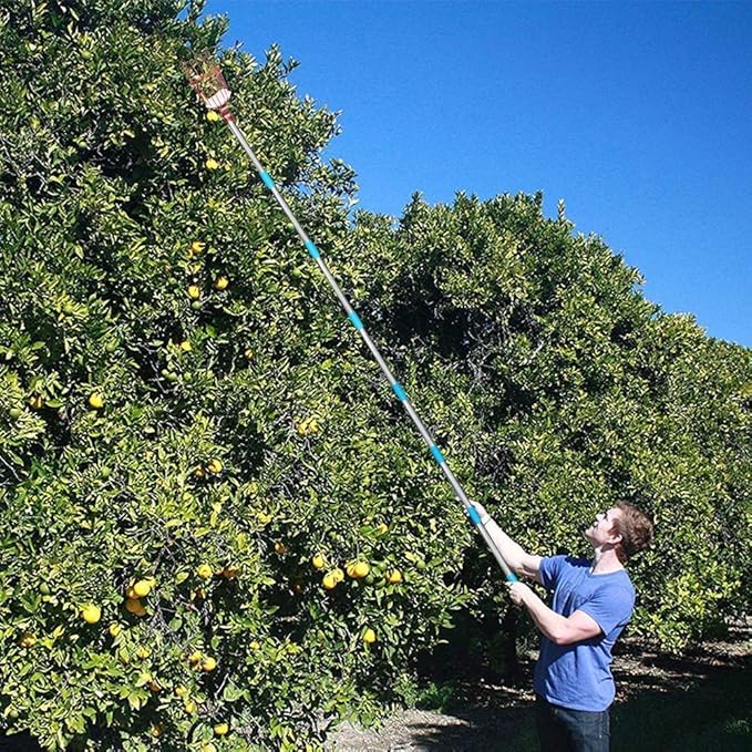 5FT Fruit Picker, Fruit Picker Tool with Basket & Adjustable Stainless Steel Pole, Lightweight Fruit Grabber for Apple Mango Avocado Orange Lemon, Easy Assembly & Long Reach for Tall Trees Harvesting