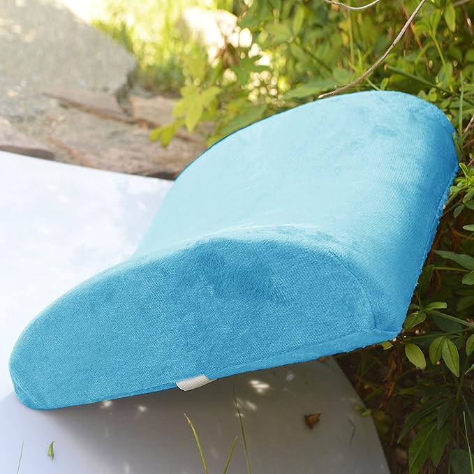 Bookishbunny Premium Memory Foam Lumbar Support Cushion Pillow (LightBlue)