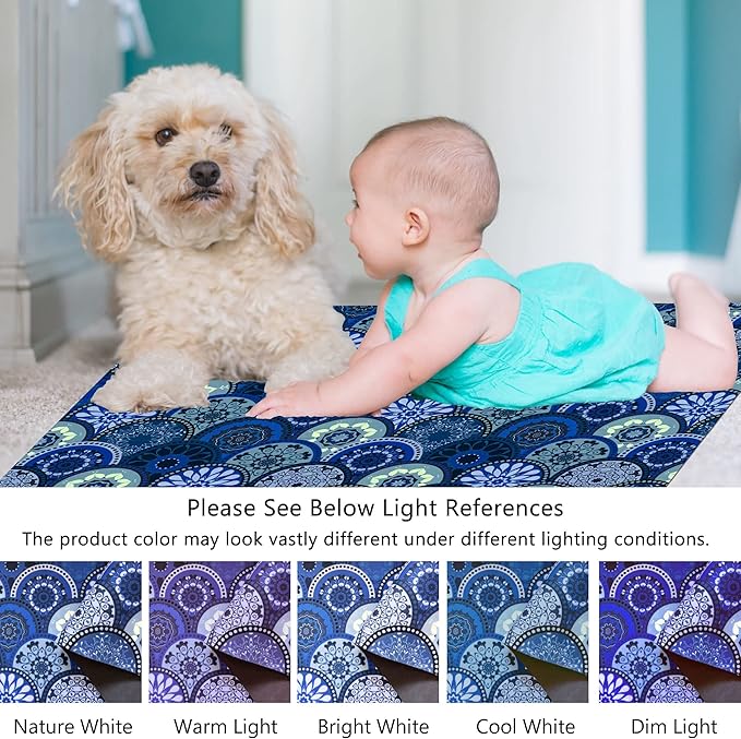 1/10 Inch Ultra Thin 24"×35" Large Front Door Mat Indoor Entrance Inside Non Slip, Waterproof Rubber Kitchen Mat and Interior Home Washable Door Mat, Royal Blue