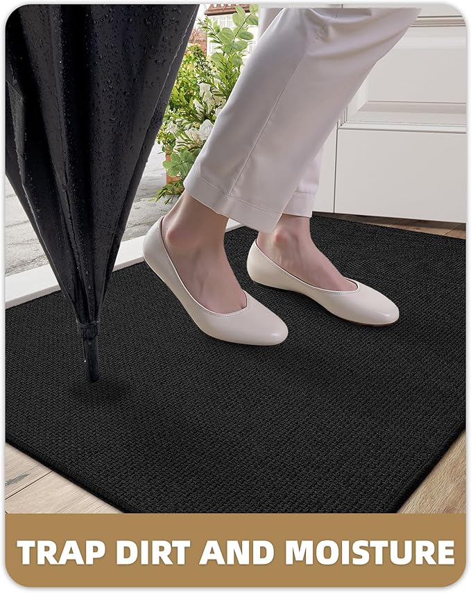 Color&Geometry Thin Door Mat Indoor Entrance Non Slip Rubber Backed, 24"x36" Indoor Door Mats for Entryway, Dirt Trapper Doormat, Washable Front Door Rugs, Ebony Black